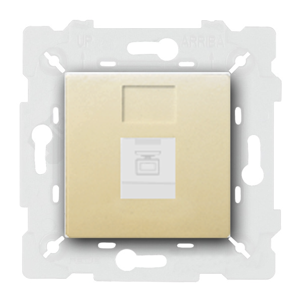  Розетка компьютерная 1xRJ45 UTP 5e категории Fede Vintage Wood Бежевый (в сборе)